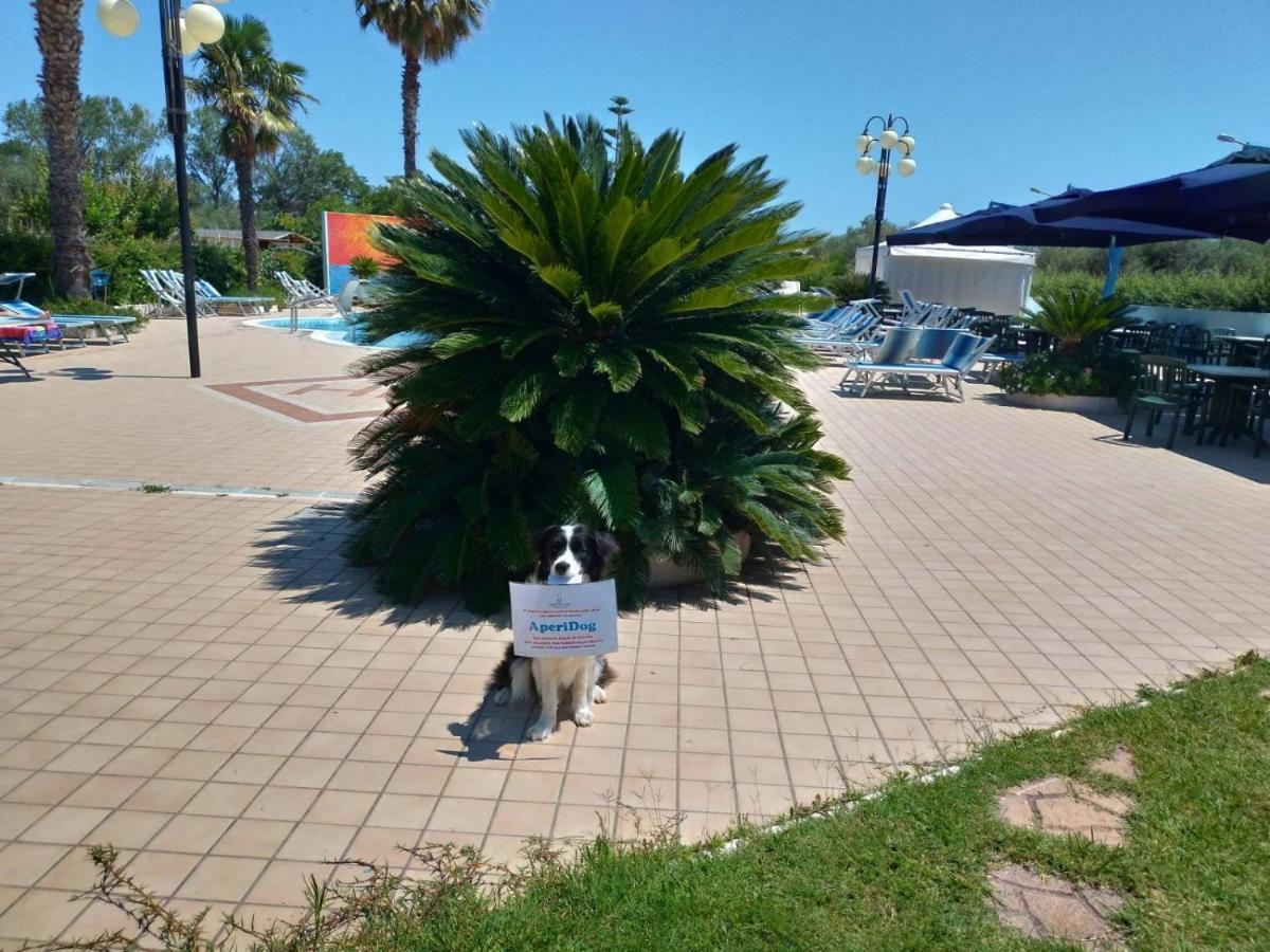 Hotel Marina Roseto Degli Abruzzi Bagian luar foto