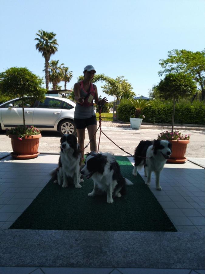 Hotel Marina Roseto Degli Abruzzi Bagian luar foto